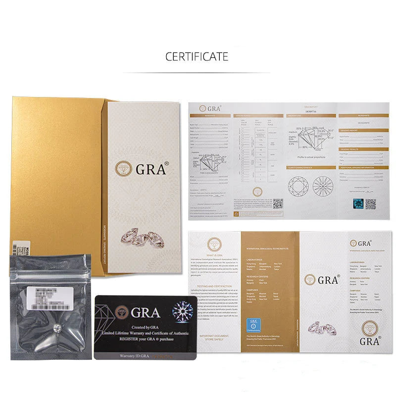 Silver 925 Original Brilliant Cut Diamond Test Past Double Rows 4mm D Color Moissanite Tennis Necklace for Women Fine Jewelry