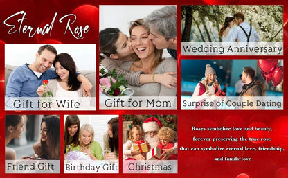  Necklace - Luxurious Rose Gift Box, Perfect for Valentine's Day, Mother's Day, Anniversary, Birthday, and Any Special Occasion 